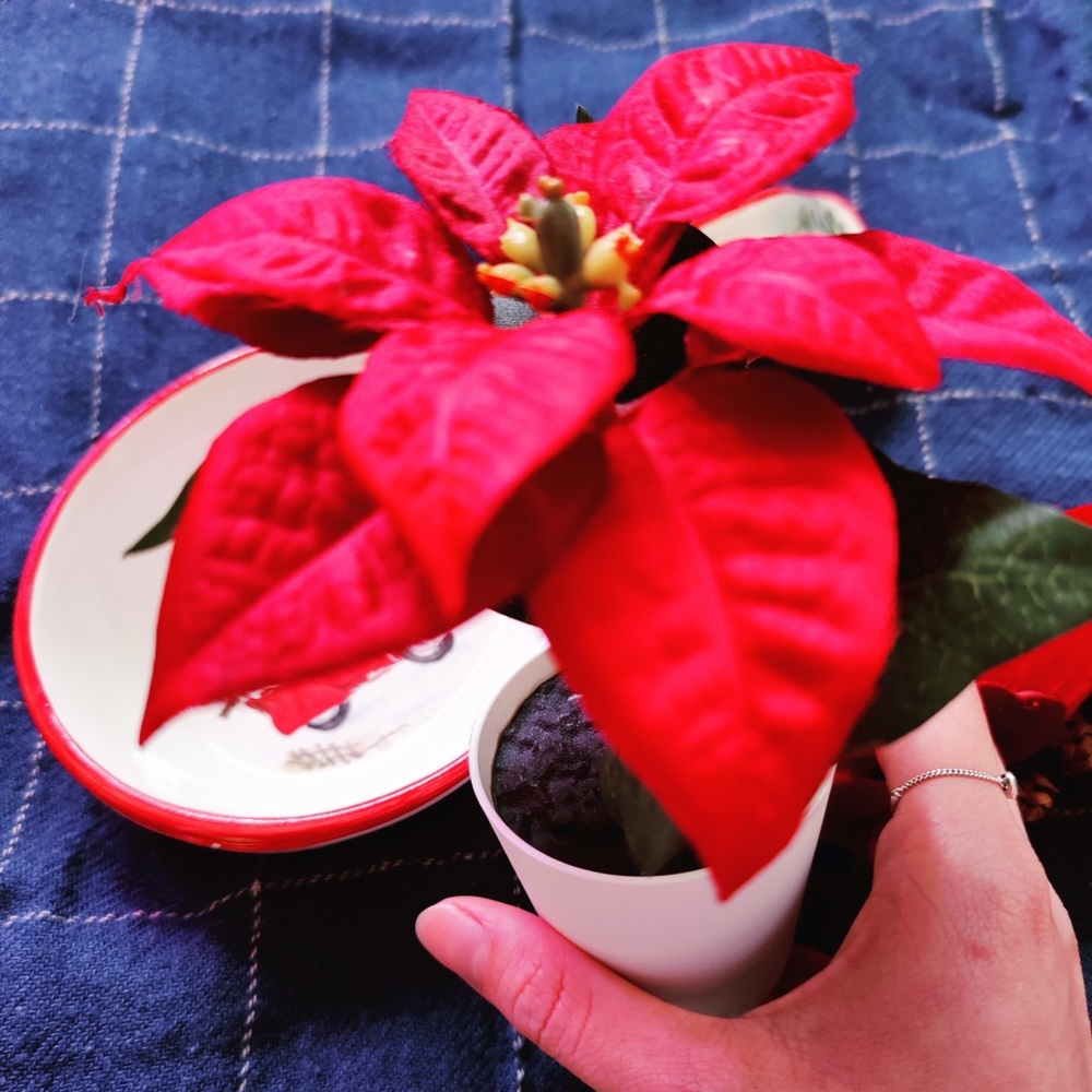 Holiday Decorations items - Picture 2 of 4